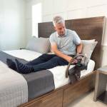 Handyhalter, Ablage und Tasche inklusive